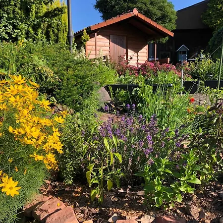 Zum Eduardstal Appartement